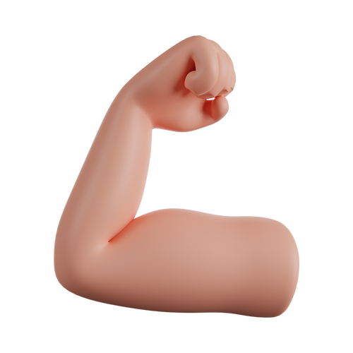 🏋️♂️ Deporte, rendimiento y músculos