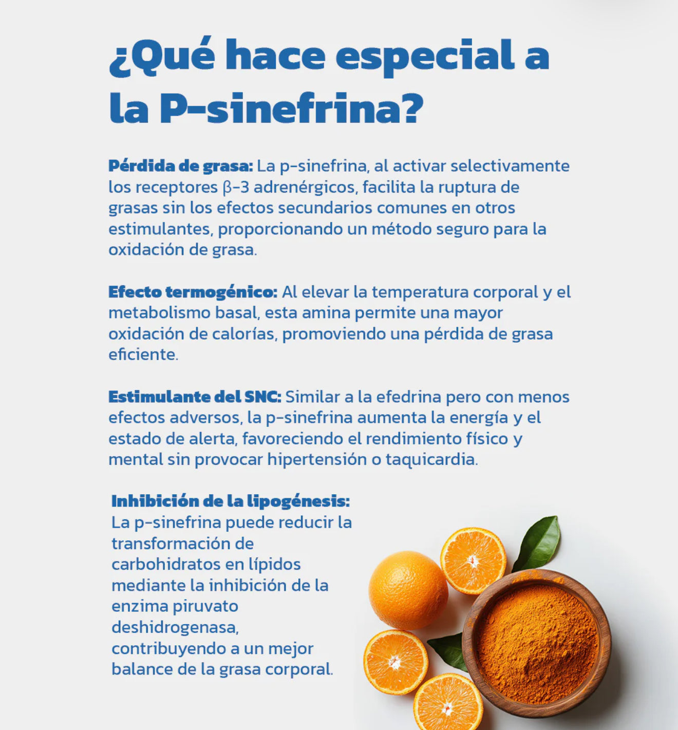 Sinefrina SNF - ESSENTIALS