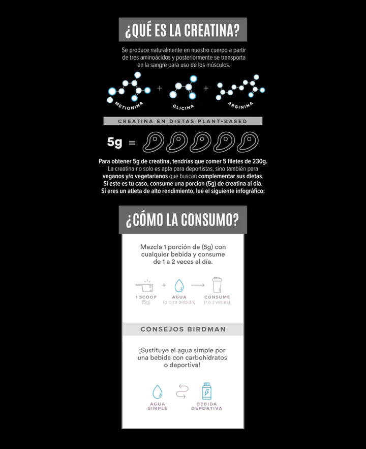 Infografía sobre Creatina Monohidrato - BIRDMAN de getfit: La parte superior explora la producción y el transporte de creatina con ilustraciones de aminoácidos. La parte central muestra que 5 g equivalen a cinco filetes de 230 g. La parte inferior recomienda aumentar la masa muscular mezclándolo con agua dos veces al día.