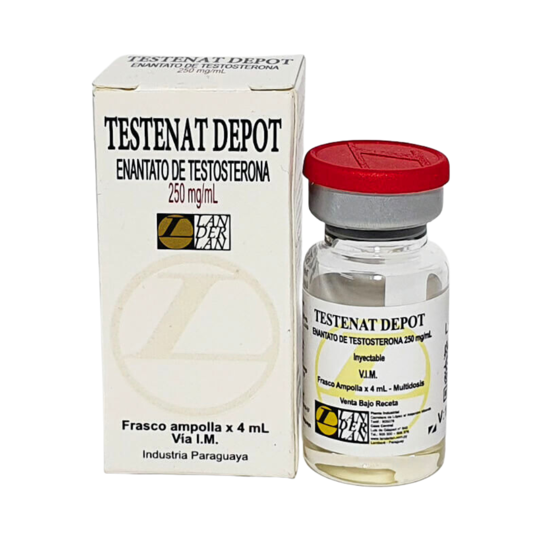 Testenat Depot - LANDERLAN