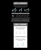 Infografía sobre Creatina Monohidrato - BIRDMAN de getfit: La parte superior explora la producción y el transporte de creatina con ilustraciones de aminoácidos. La parte central muestra que 5 g equivalen a cinco filetes de 230 g. La parte inferior recomienda aumentar la masa muscular mezclándolo con agua dos veces al día.